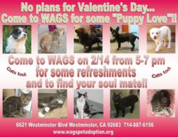WAGS Valentine's Day pet adoption event